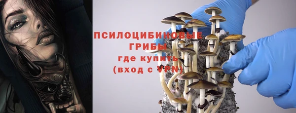 винт Аркадак