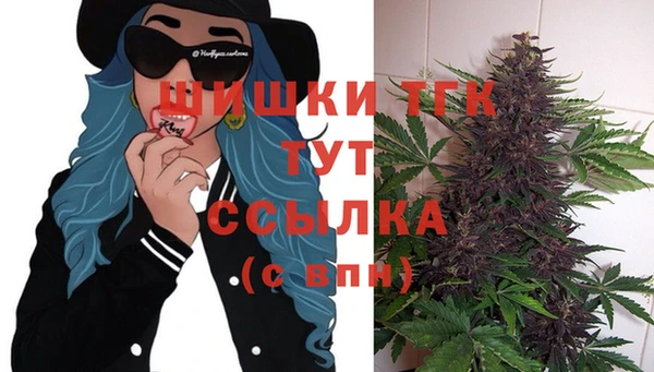 винт Аркадак
