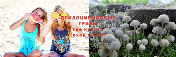 винт Аркадак