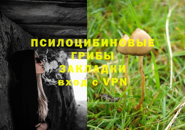 трава Арсеньев