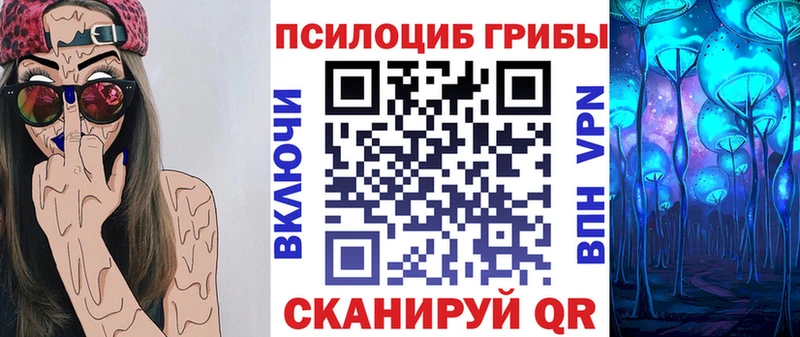 KRAKEN как войти Белокуриха Псилоцибиновые грибы мицелий наркошоп